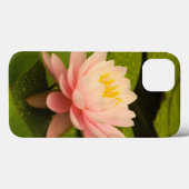 Verenigde Staten, Maryland, Westminster, Union 2 Case-Mate iPhone Case (Achterkant (horizontaal))