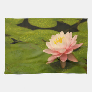 Verenigde Staten, Maryland, Westminster, Union 2 Theedoek