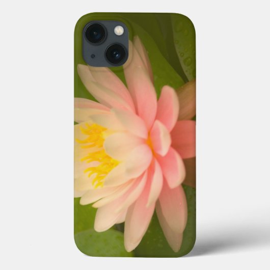 Verenigde Staten, Maryland, Westminster, Union Case-Mate iPhone Case (Achterkant)