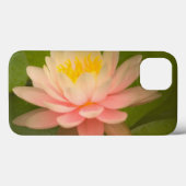 Verenigde Staten, Maryland, Westminster, Union Case-Mate iPhone Case (Achterkant (horizontaal))