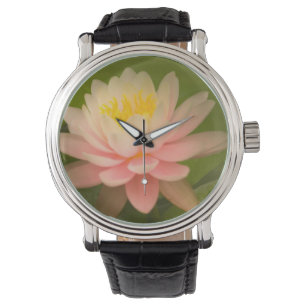 Verenigde Staten, Maryland, Westminster, Union Horloge