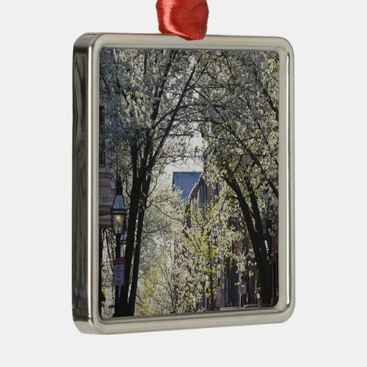 Verenigde Staten, Massachusetts, Boston, Beacon Hi Metalen Ornament (Rechts)