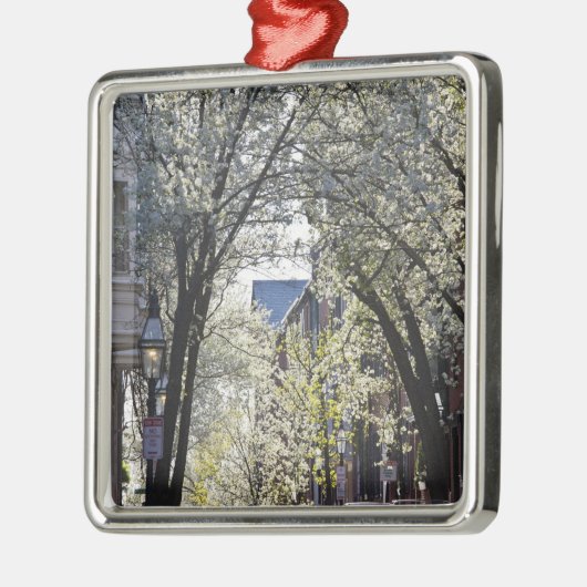 Verenigde Staten, Massachusetts, Boston, Beacon Hi Metalen Ornament (Links)