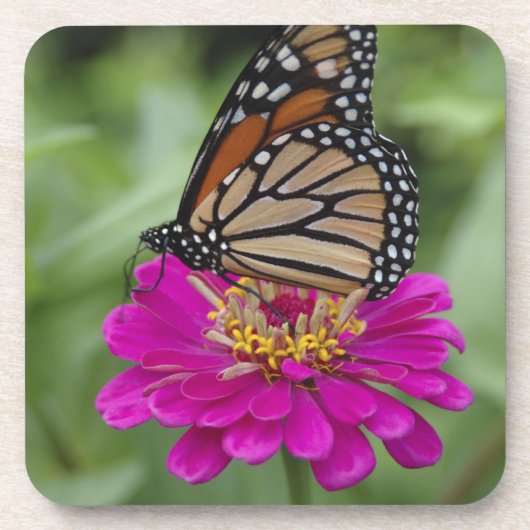 Verenigde Staten, Massachusetts, Boylston, Tower H Bier Onderzetter (Voorkant)