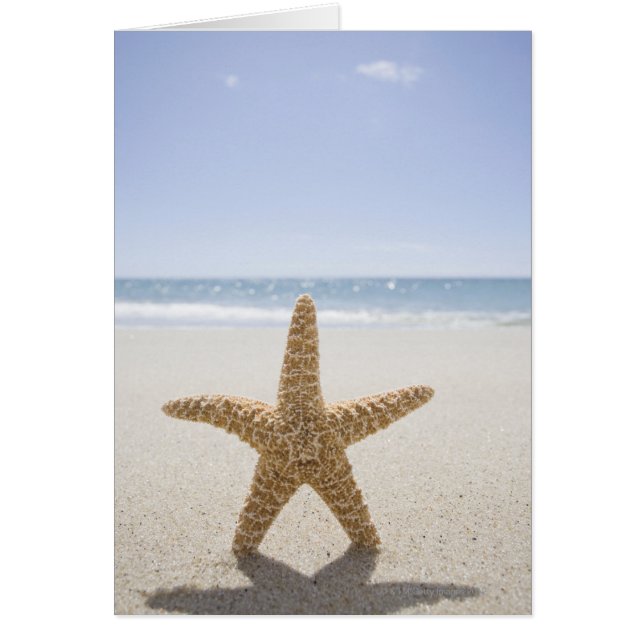 Verenigde Staten, Massachusetts, Cape Cod, Nantuck (Voorkant)