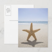 Verenigde Staten, Massachusetts, Cape Cod, Nantuck Briefkaart (Voorkant / Achterkant)