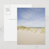 Verenigde Staten, Massachusetts, Cape Cod, Nantuck Briefkaart (Voorkant / Achterkant)