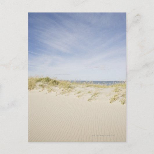 Verenigde Staten, Massachusetts, Cape Cod, Nantuck Briefkaart (Voorkant)