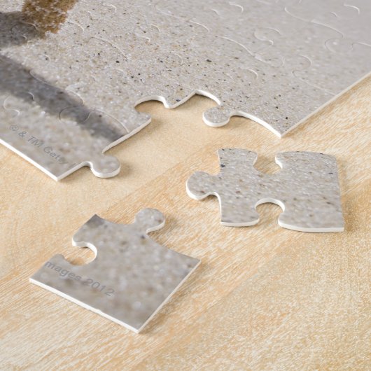 Verenigde Staten, Massachusetts, Cape Cod, Nantuck Legpuzzel (Zijkant)