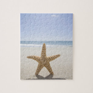 Verenigde Staten, Massachusetts, Cape Cod, Nantuck Legpuzzel