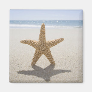 Verenigde Staten, Massachusetts, Cape Cod, Nantuck Magneet