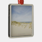 Verenigde Staten, Massachusetts, Cape Cod, Nantuck Metalen Ornament (Rechts)