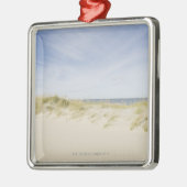 Verenigde Staten, Massachusetts, Cape Cod, Nantuck Metalen Ornament (Links)