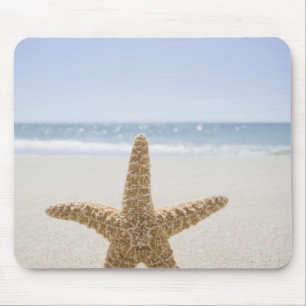 Verenigde Staten, Massachusetts, Cape Cod, Nantuck Muismat
