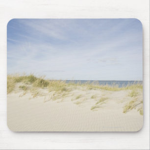 Verenigde Staten, Massachusetts, Cape Cod, Nantuck Muismat