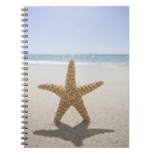 Verenigde Staten, Massachusetts, Cape Cod, Nantuck Notitieboek
