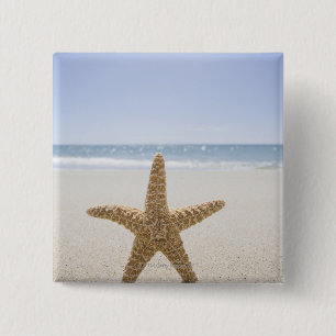 Verenigde Staten, Massachusetts, Cape Cod, Nantuck Vierkante Button 5,1 Cm