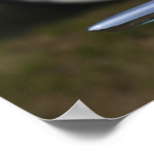 Verenigde Staten, Massachusetts, Gloucester. Ford  Poster (Hoek)