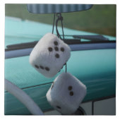 Verenigde Staten, Massachusetts, Gloucester. Fuzzy Tegeltje (Voorkant)