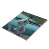 Verenigde Staten, Massachusetts, Gloucester. Fuzzy Tegeltje (Zijkant)