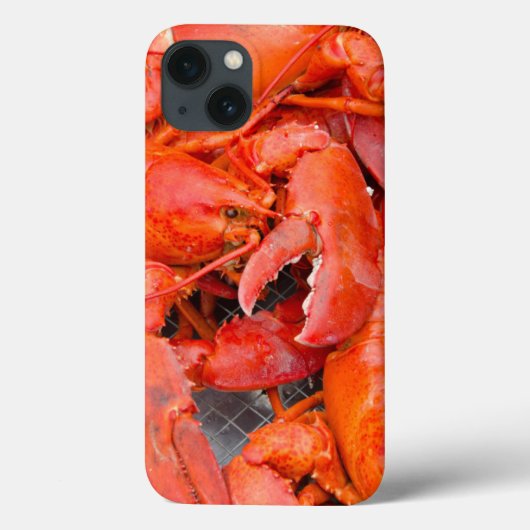 Verenigde Staten, Massachusetts, Martha's wijntuin Case-Mate iPhone Case (Achterkant)