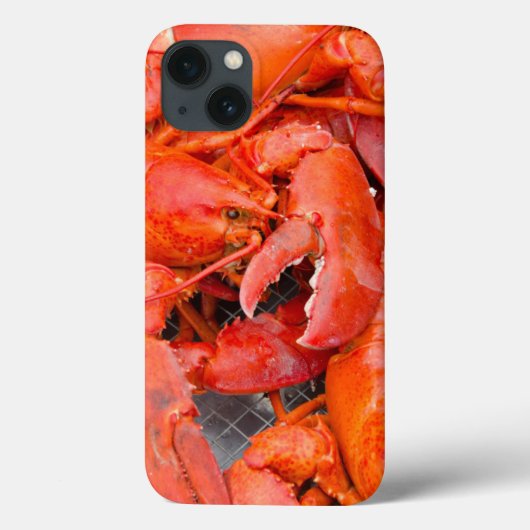 Verenigde Staten, Massachusetts, Martha's wijntuin Case-Mate iPhone Case (Achterkant)