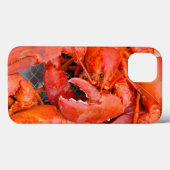 Verenigde Staten, Massachusetts, Martha's wijntuin Case-Mate iPhone Case (Achterkant (horizontaal))