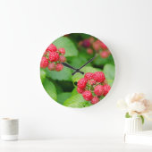 Verenigde Staten, Massachusetts, Nantucket. Ripe f Grote Klok (Huis)