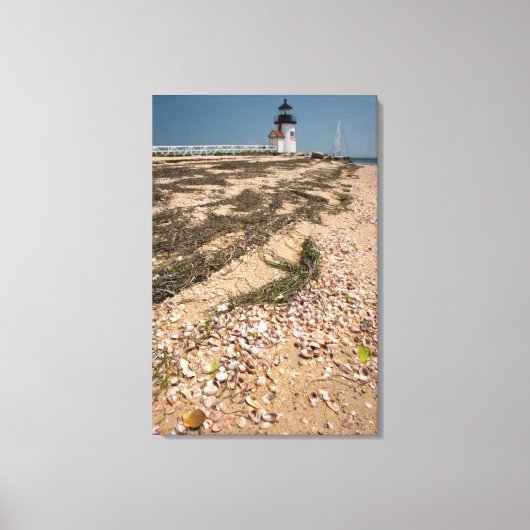Verenigde Staten, Massachusetts, Nantucket. Shell Canvas Afdruk (Voorkant)