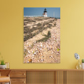 Verenigde Staten, Massachusetts, Nantucket. Shell Canvas Afdruk (Insitu (Woonkamer))