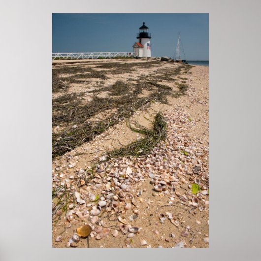 Verenigde Staten, Massachusetts, Nantucket. Shell Poster (Voorkant)