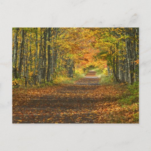 Verenigde Staten, Michigan, Bovenste schiereiland. Briefkaart (Voorkant)