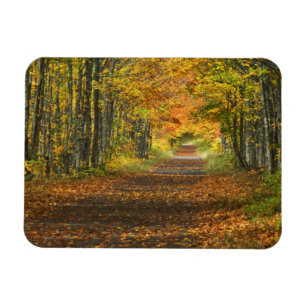 Verenigde Staten, Michigan, Bovenste schiereiland. Magneet