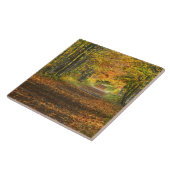 Verenigde Staten, Michigan, Bovenste schiereiland. Tegeltje (Zijkant)