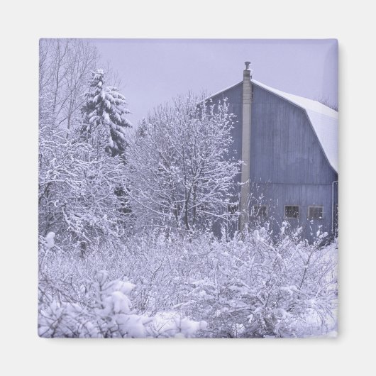 Verenigde Staten, Michigan, Rochester Hills. Sneeu Magneet (Voorkant)