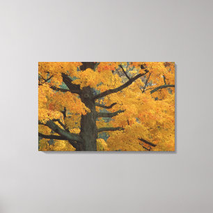 Verenigde Staten, Michigan, Sluiting van de suiker Canvas Afdruk