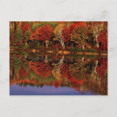 Verenigde Staten, Michigan, Upper Peninsula. Herfs Briefkaart (Voorkant)