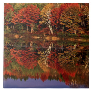 Verenigde Staten, Michigan, Upper Peninsula. Herfs Tegeltje