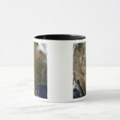 Verenigde Staten, Midden- en western Mok (Midden)