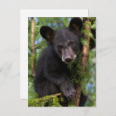 Verenigde Staten, Minnesota, Sandstone, Minnesota  Briefkaart (Voorkant / Achterkant)