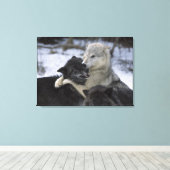 Verenigde Staten, Montana, Wolven spelen in sneeuw Canvas Afdruk (Insitu (Houten vloer))