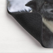 Verenigde Staten, Montana, Wolven spelen in sneeuw Muismat (Hoek)