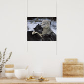 Verenigde Staten, Montana, Wolven spelen in sneeuw Poster (Keuken)