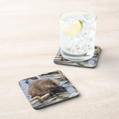 Verenigde Staten, Nebraska. Beaver Onderzetter (Rechterzijde)