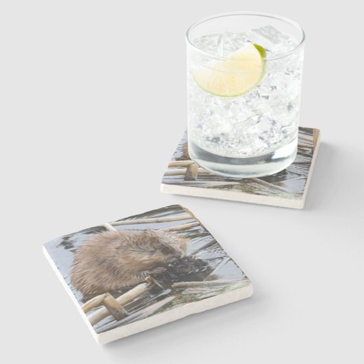 Verenigde Staten, Nebraska. Beaver Stenen Onderzetter (Zijkant)