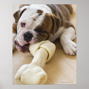 Verenigde Staten, New Jersey, Jersey City, Cute bu Poster