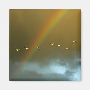 Verenigde Staten, New Mexico, Bosque del Apache Na Magneet