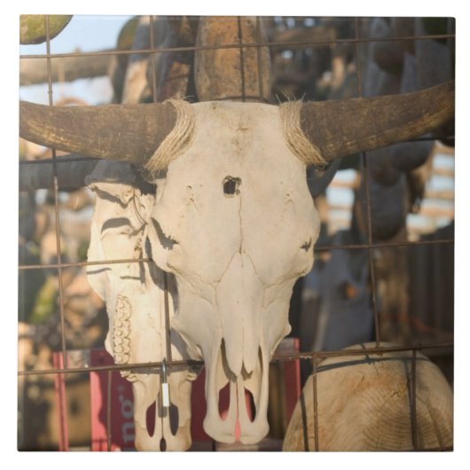 Verenigde Staten, New Mexico, Mesilla: Historic Me Tegeltje (Voorkant)