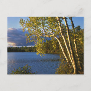 Verenigde Staten, New York, Adirondack Park en Pre Briefkaart