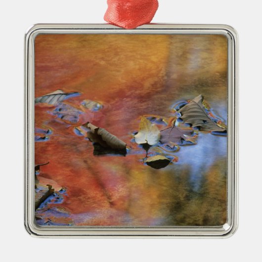 Verenigde Staten, New York, Adirondacks, Gestorven Metalen Ornament (Voorkant)